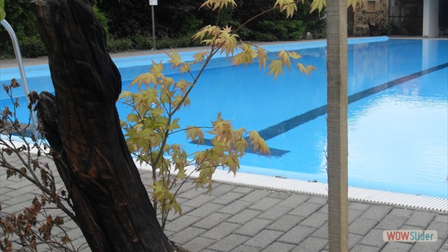 bootstrap carousel example